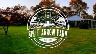 Welcome to Split Arrow Farm | The Journey of New Homesteaders