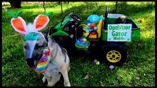 Happy OptiVizor Easter from Protective Pet Solutions!