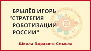 Стратегия роботизации России. Проект Робосфера. Брылёв Игорь
