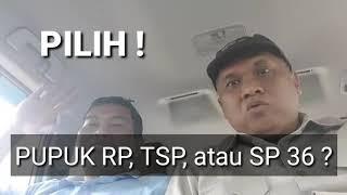 Cara Memilih Pupuk RP, TSP, atau SP 36 !