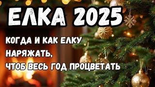 Как украсить елку на Новый 2025 год?  В какие числа лучше всего ее ставить?