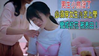 男生小鳥沒了，必須穿女生内衣上學，成了校花，被男生表白