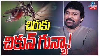 LIVE: Chiranjeevi suffering with Chikungunya Fever | త్వరగా కోలుకోవాలంటున్న ఫ్యాన్స్ | ZEE News