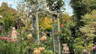 English Rose Garden Tour | Roses | Shrubs | Trees  & more | Gardening Tips | David Austin Roses