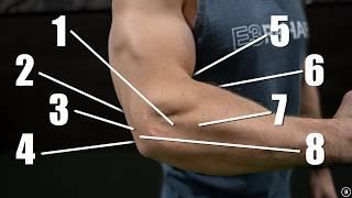 Why Your Elbow Hurts (And What To Do About It!)