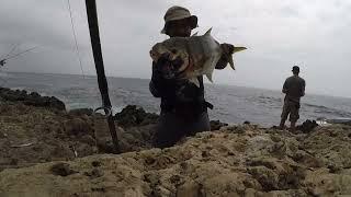 Fishing with Al Meedar