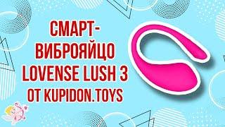 Видеообзор Смарт виброяйца Lovense Lush 3 | Kupidon.toys