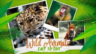 Animals World Slideshow for After Effects 2021