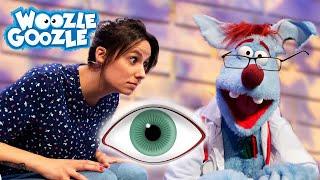 Wie funktioniert das Auge? l WOOZLE GOOZLE