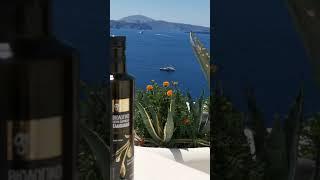 GRECO: BIO EXTRA VIRGIN OLIVE OIL