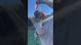 Kokanee cutplug #kokaneefishing