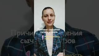 смещение сычуга у коров