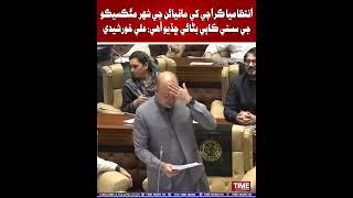 Ali Khursheedi On Mafias In Karachi