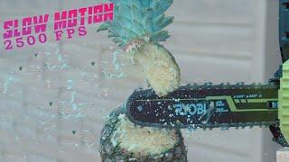 Chainsaw VS Fruits  Chopping in ultra Slow Motion