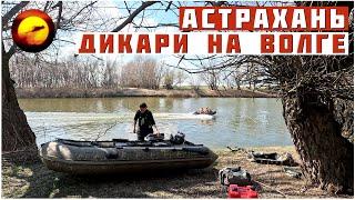 АСТРАХАНЬ! ДИКАРИ НА ВОЛГЕ / РЫБАЛКА, ОТДЫХ И ПРИРОДА