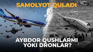 SAMOLYOT QULADI. AYBDOR QUSHLARMI YOKI DRONLAR?