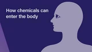 Working Safely with Chemicals