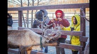 Какие места в округе Ростуризм выбрал для экскурсионных программ по Подмосковью?