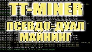 Псевдо Дуал Майнинг TT-MINER