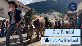 Day-Trip to Albeuve Desalpe Fair & Cow Parades