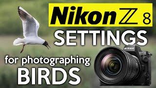 My settings for the Nikon Z8 to photograph birds