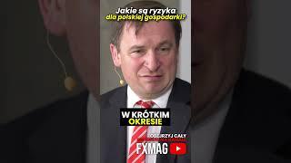 Jakie są ryzyka dla polskiej gospodarki? Prof. Łukasz Hardt #shorts #ekonomia #gospodarka #polska