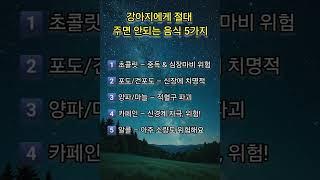 강아지에게 절대 주면 안되는 음식 5가지 #명상 #명언 #삶 #삶의지혜 #좋은글 #좋은글귀 #인생 #인생명언 #인생조언 #아침 #아침묵상 #건강 #철학 #부자 #자기계발 #학습
