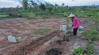 Adorable baby monkey Nahu goes to the fields to grow vegetables with his mother