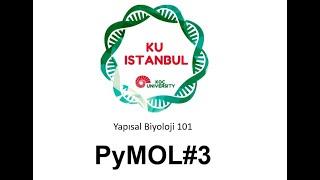 Yapısal Biyoloji 101| PyMOL#3