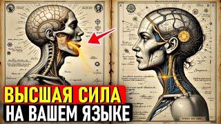 ВНИМАНИЕ! Скрытая мудрость древних мастеров открывается только тем, кто готов ПРОБУДИТЬСЯ
