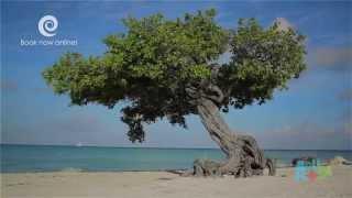 Aruba - Absolutely All Inclusive Vacations | SignatureVacations.com