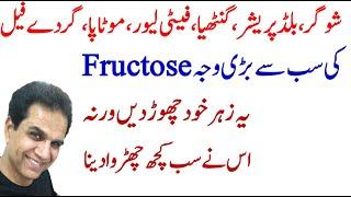 Fructose: responsible for modern diseases | ਜ਼ਿਆਦਾਤਰ ਆਧੁਨਿਕ ਬਿਮਾਰੀਆਂ ਲਈ ਚਿੱਟਾ ਜ਼ਹਿਰ ਜ਼ਿੰਮੇਵਾਰ ਹੈ