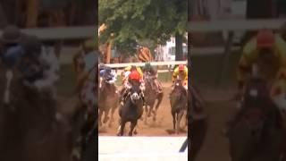 Horse Racing on a Race Track  #fast #upclose