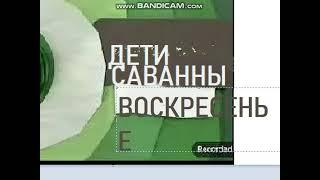 Анонс Карусель Дети саванны