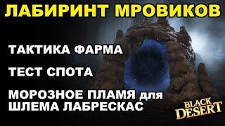  Лабиринт Мровиков. Тесты и тактика фарма серебра. Итемы на шлем ЛАБРЕСКАС в БДО (BDO-Black Desert)