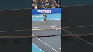 Epic point for Carlos Alcaraz  #tennis #shorts