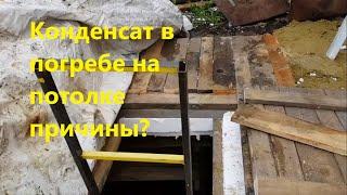 Конденсат в погребе на потолке причины?