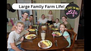 LARGE FAMILY Getting Things Done! A Day-in-the-Life Vlog (DITL)