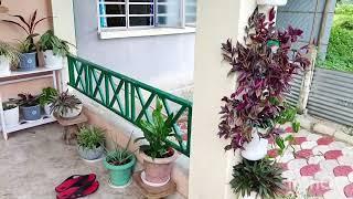 LOW BUDGET HOUSE SALE IN SILIGURI FOR 17 LAKHS