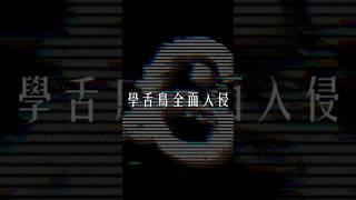 #學舌鳥入侵 IG GIF 動圖上線️參加活動 就抽音樂分享會門票｜小宇 宋念宇 Xiao Yu