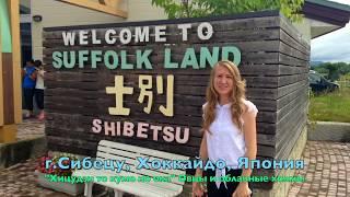 *Япония.Хоккайдо* Japan.Hokkaido* г.Сибецу, музей, ремесленный центр, стрижка овец