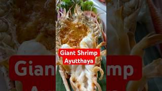 Ayutthaya foods #trending #thailand #trend #travel #cafe #restaurant #shorts #shrimp #seafood #eat