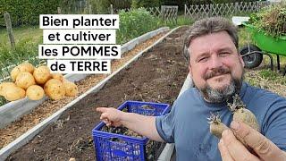 Comment bien planter et cultiver les POMMES de TERRE 『TUTO』