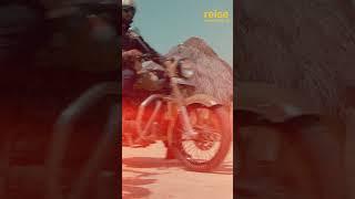 Reise tourR tyres: Built for long-lasting journeys
