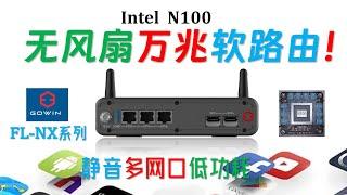 【English subtitle】The world's first Fanless silent and dustproof 10G mini pc! GOWIN FL-NX N100！