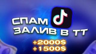 +2000$ С TIKTOK | ЗАЛИВ СПАМОМ В ТИКТОКЕ