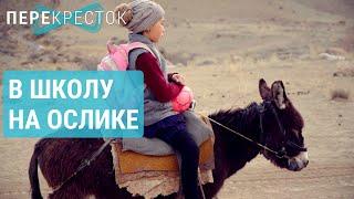 Девочка, ослик, школа | ПЕРЕКРЁСТОК