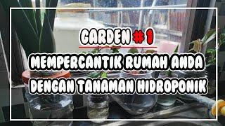 Garden #1 :  Mempercantik Rumah Anda dengan Sistem Wick - Hidroponik |#BelajarHidroponik