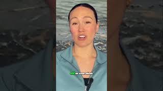 Don’t Be a Litterbug!  | Miss Lauren Teaches Green Habits #recycle #savetheplanet