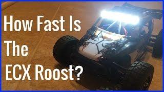 How Fast Is the ECX Roost -  What is the ECX Roost Top Speed